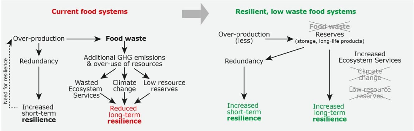 Links Between Food Waste And Resilience – Food System Group