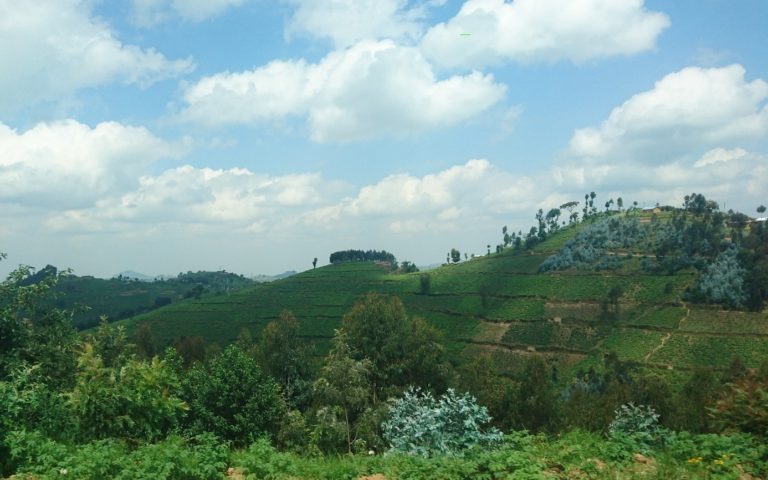 Agricultural land in Rwanda